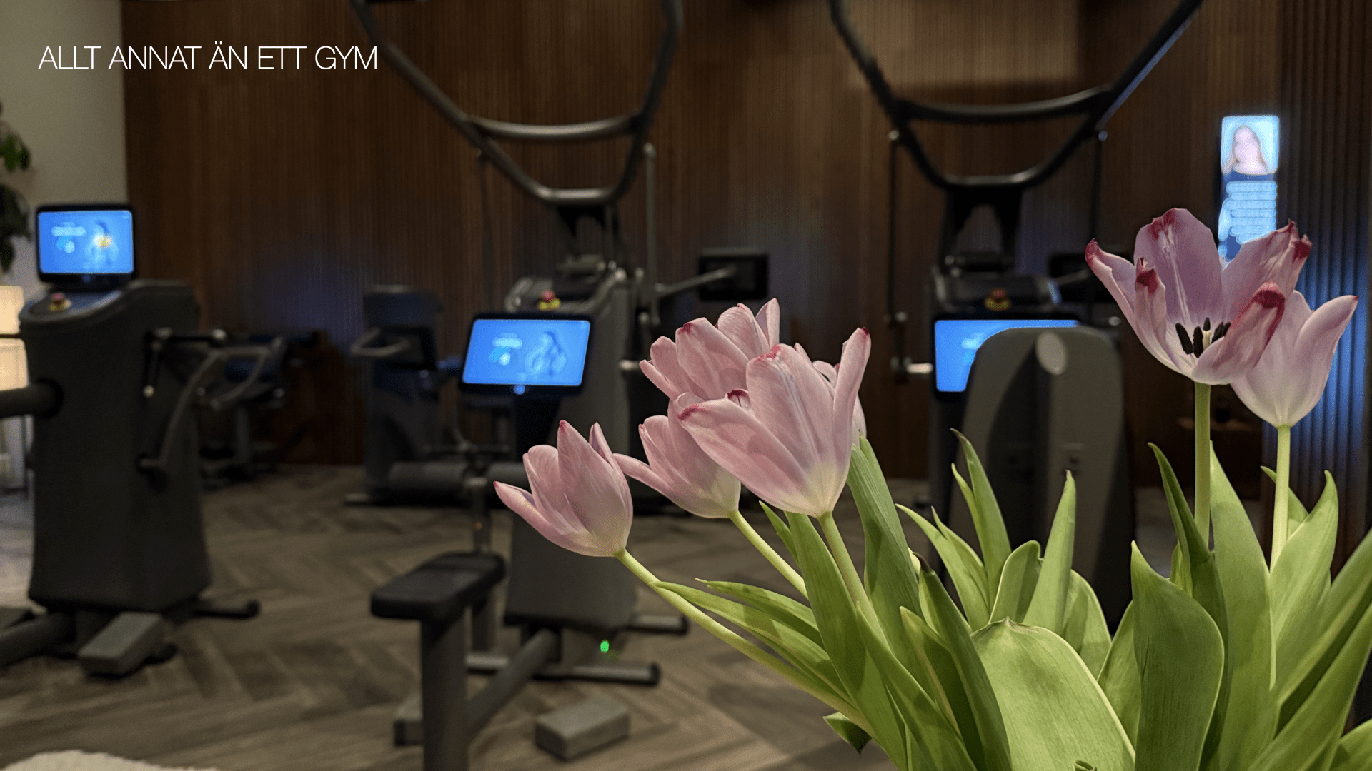 BLOMMA_HEAD.001